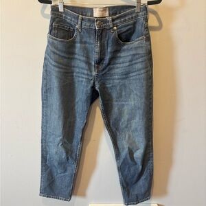 Everlane Straight Leg Jeans in Classic Blue